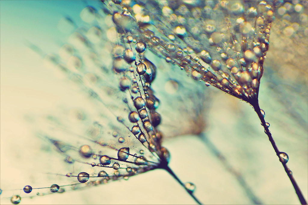 49149045356_5d26c7ca1e_b (1)